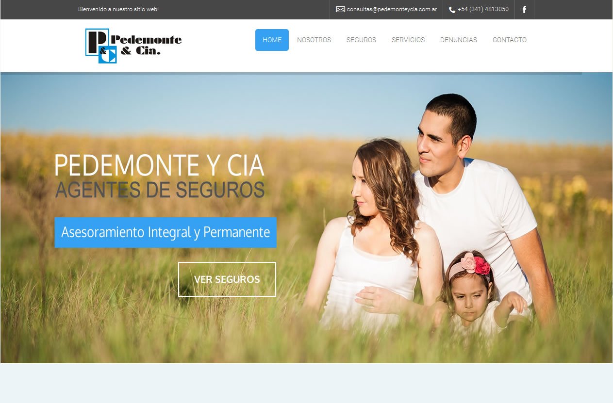 sitio web pedemonte y cia