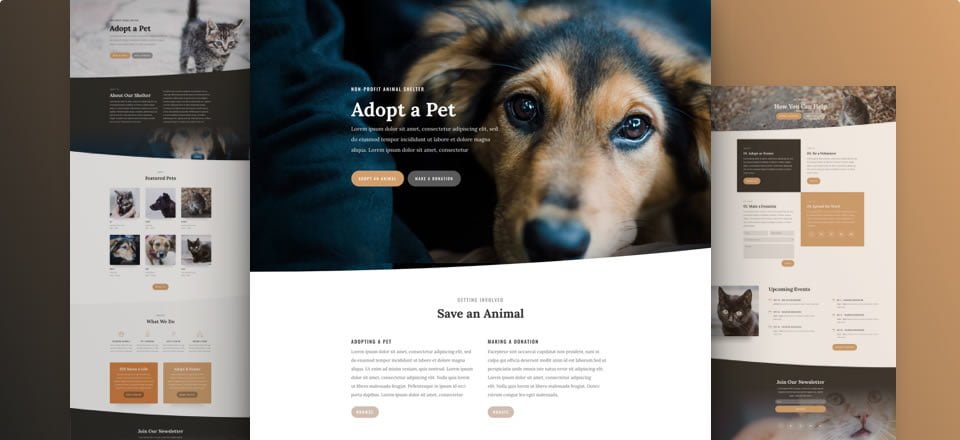 Diseñamos páginas web con WordPress + Divi