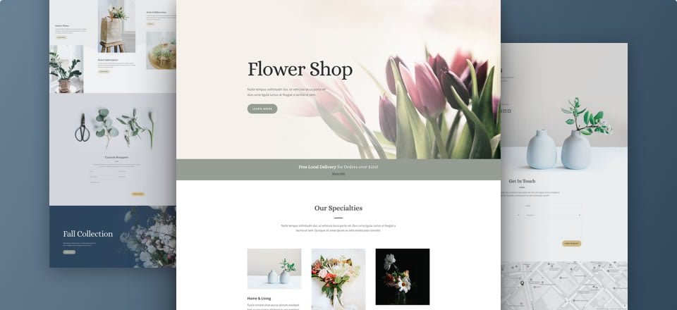 Diseñamos páginas web con WordPress + Divi