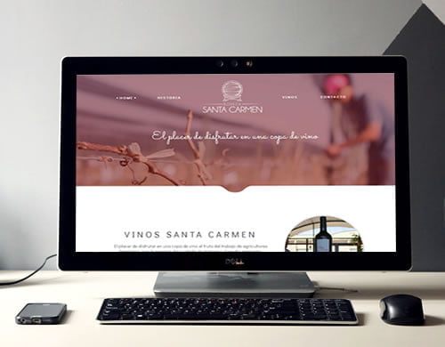 Sitio web Bodega Santa carmen