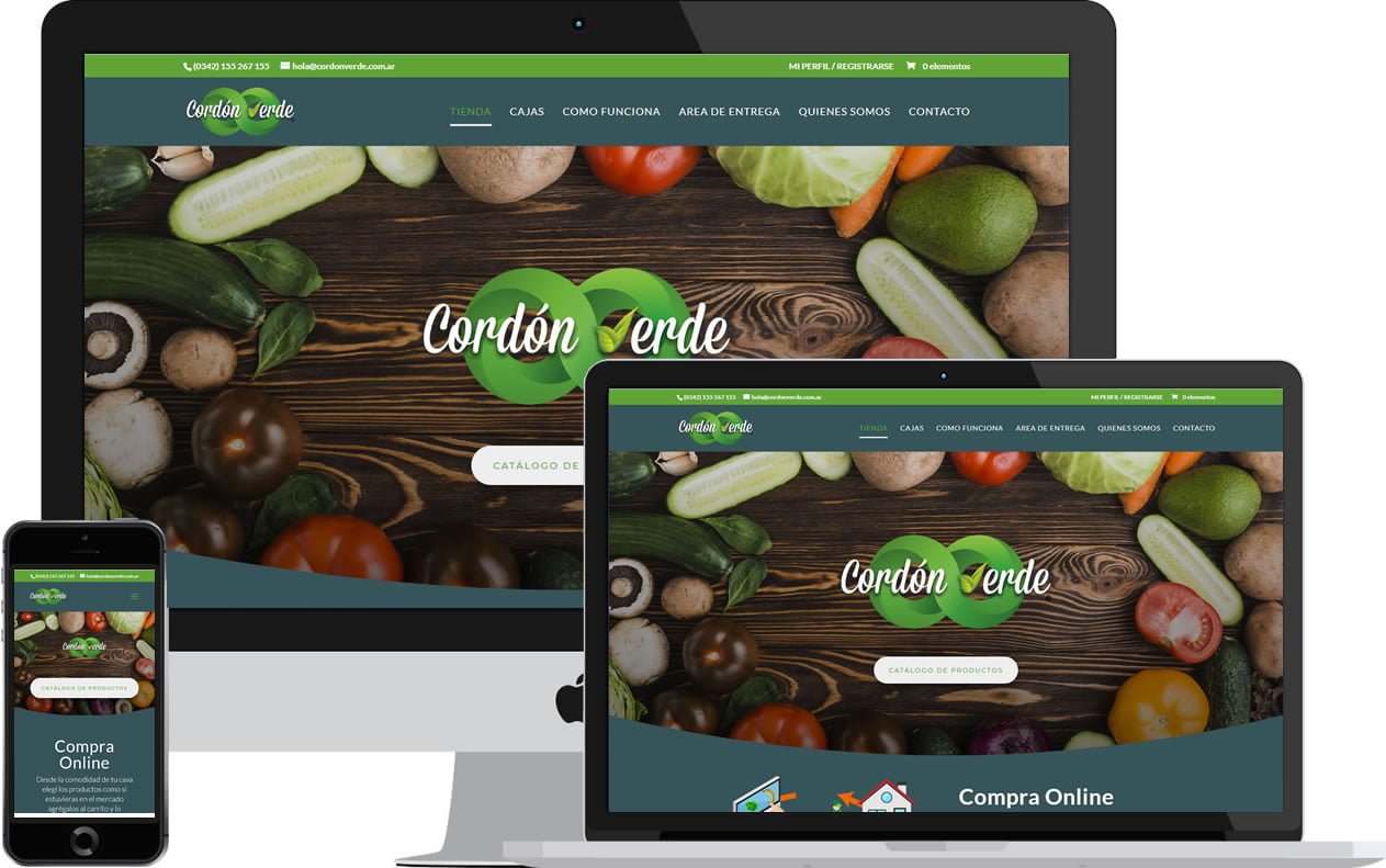 paginas-web-dinamicas