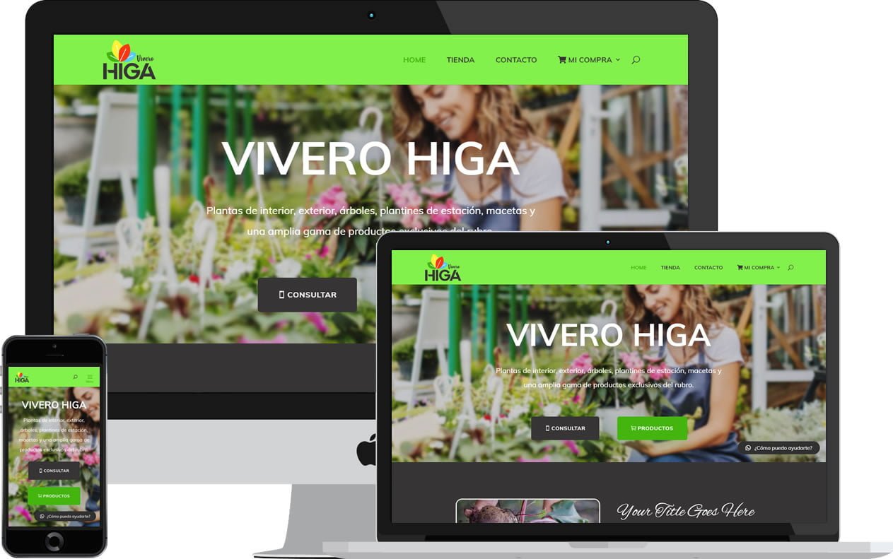 paginas-web-dinamicas