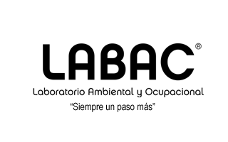 Diseño web Rosario