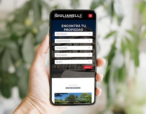 Sitio web Giulianelli