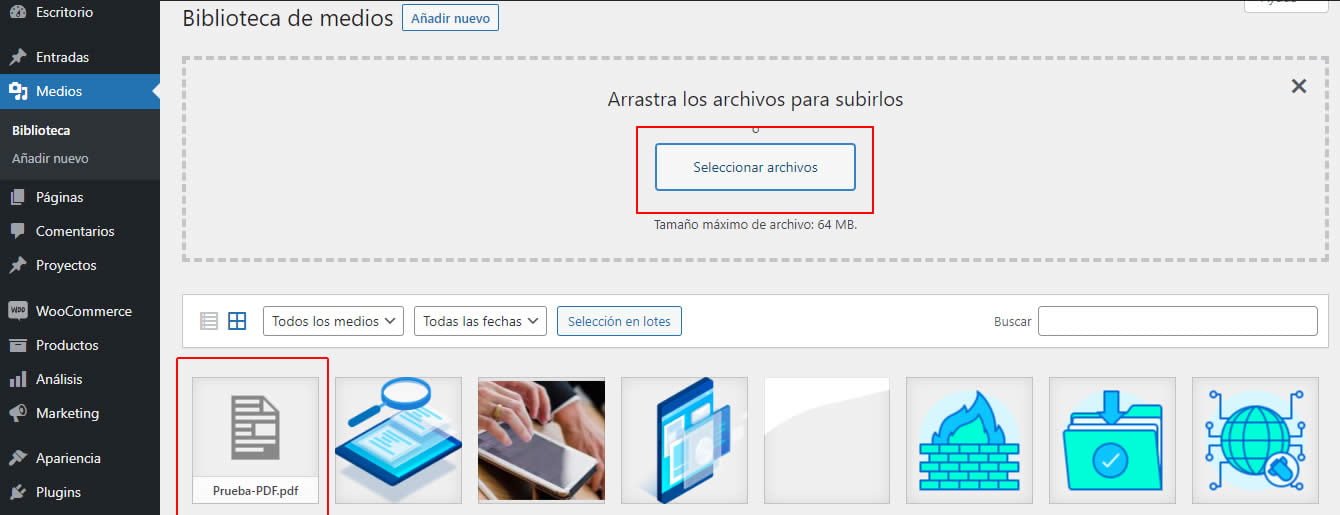 Cómo agregar PDF al menú WordPress