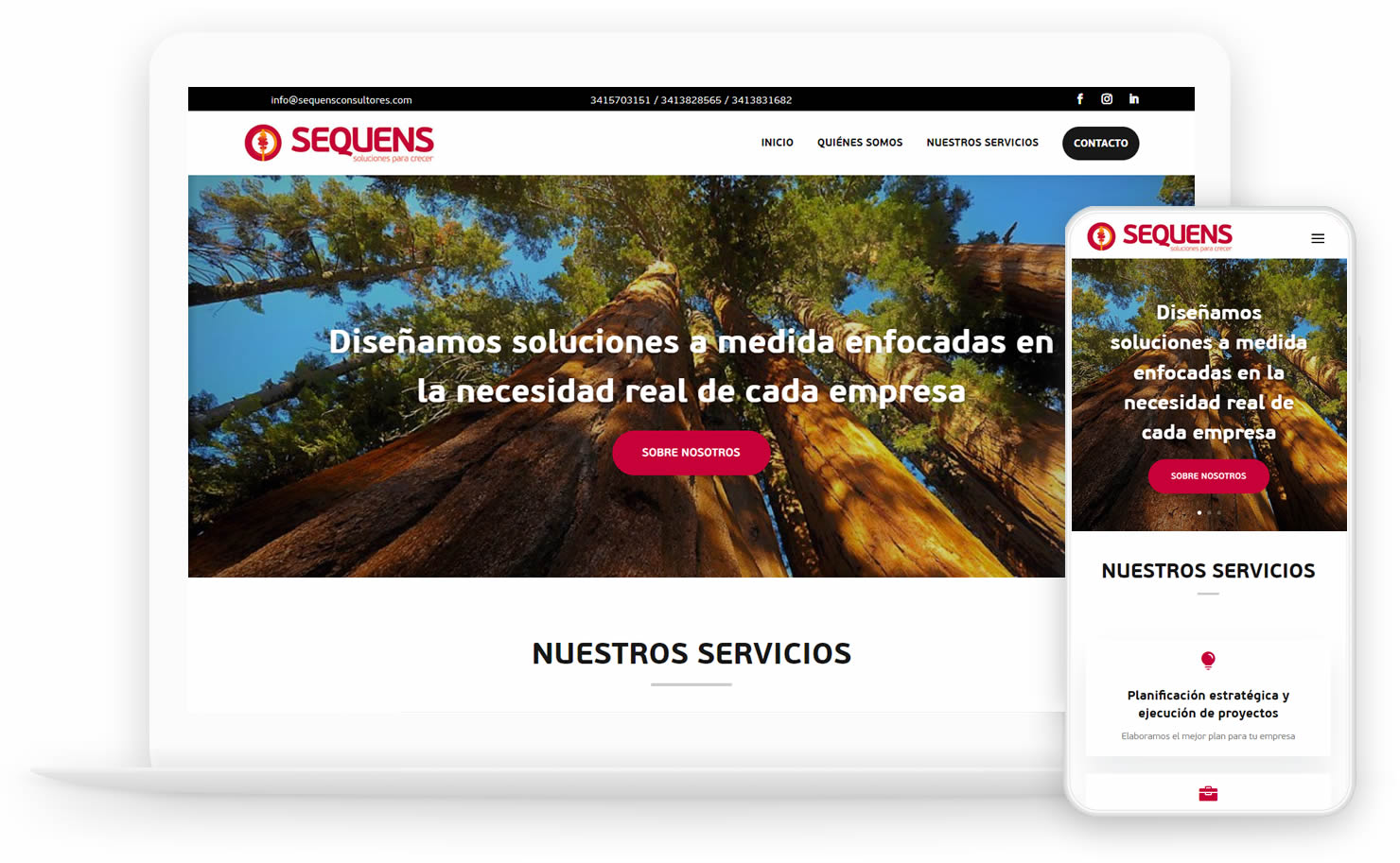 paginas-web-dinamicas