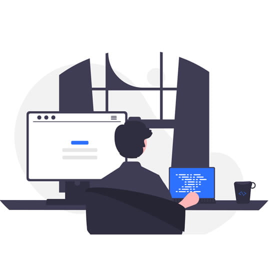 Actualización de WordPress, temas y plugins