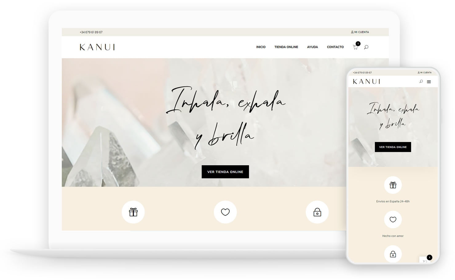 paginas-web-dinamicas