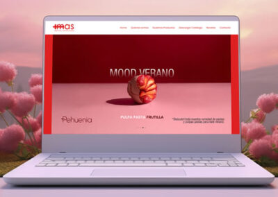 Sitio web Mas Distribuidora