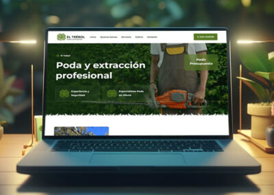 Sitio web El Trébol